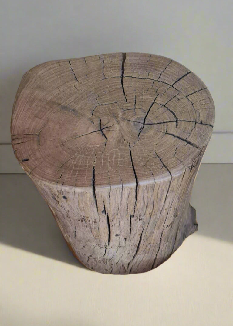 Natural Nest Stump Table