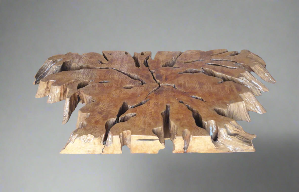 Unique Slice Root Coffee table