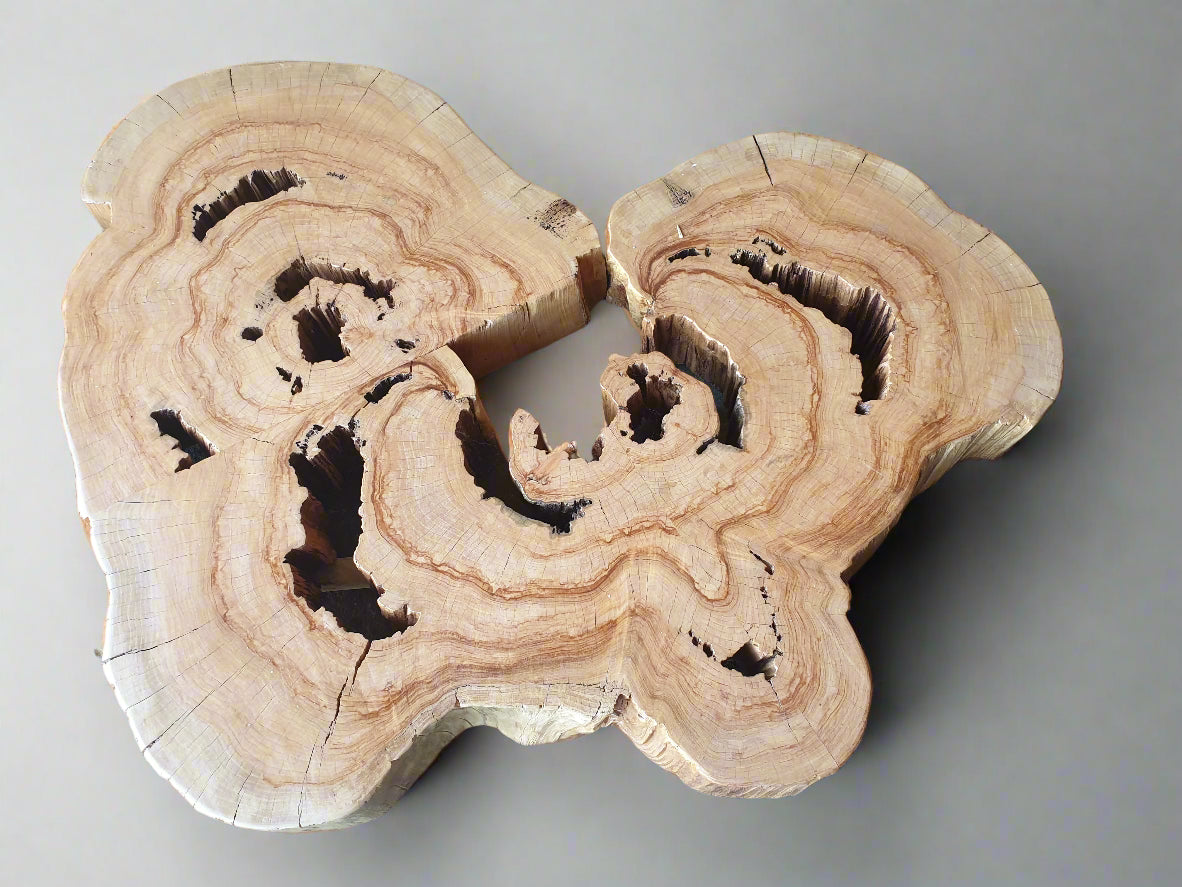 Breath of Wood Coffee table