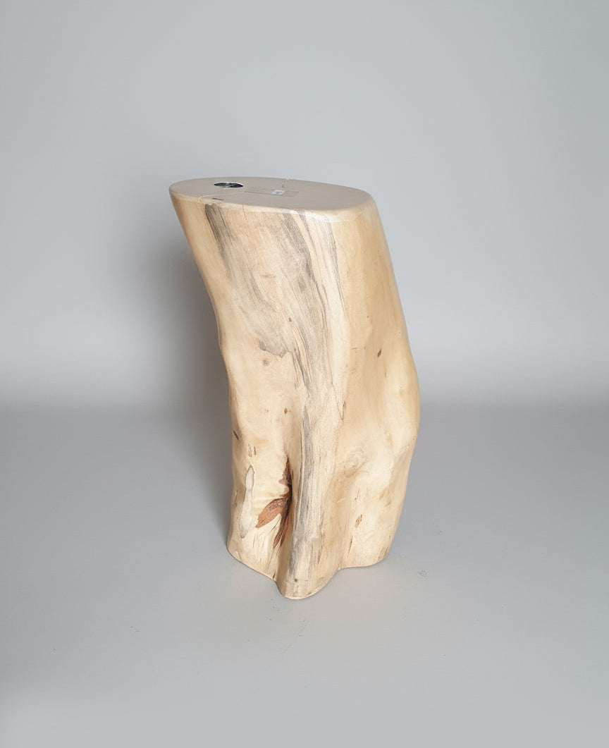 Bent Stump Jacaranda End table