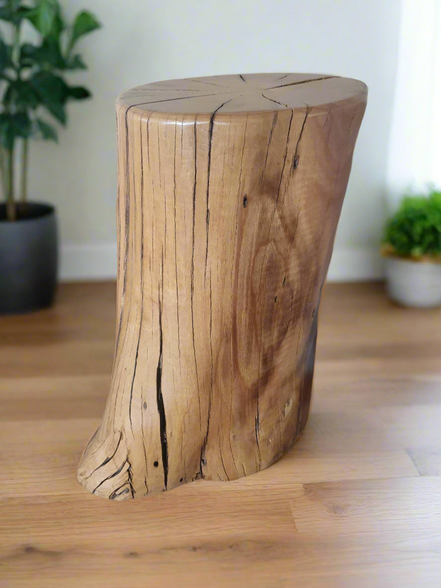 Knot & Bend Stump Side table