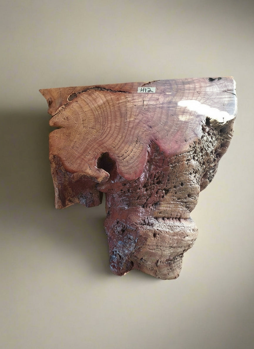 Earthmouth Low End Table - Plant holder