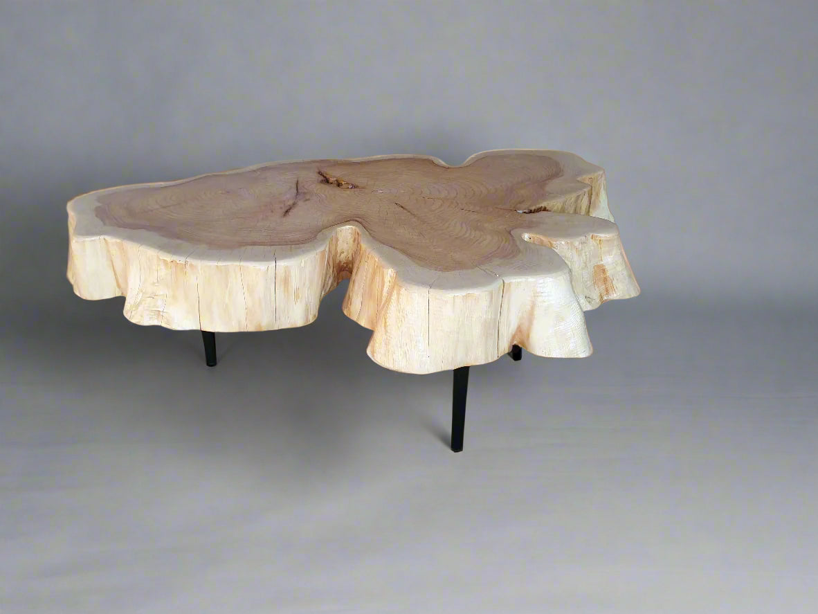 Curved Nature Coffee Table