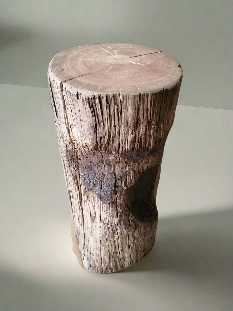 Earth Burn Stump Table