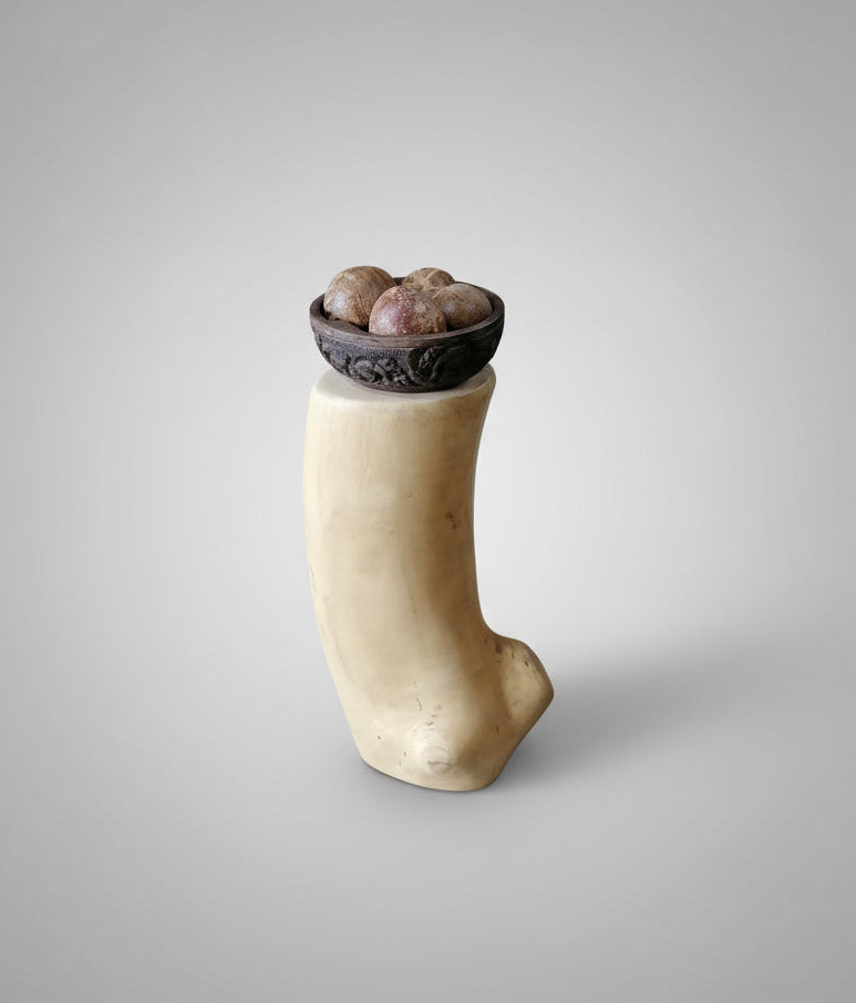 Bent Branch Jacaranda End table