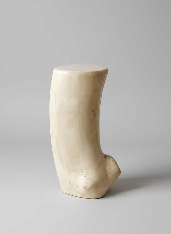 Bent Branch Jacaranda End table