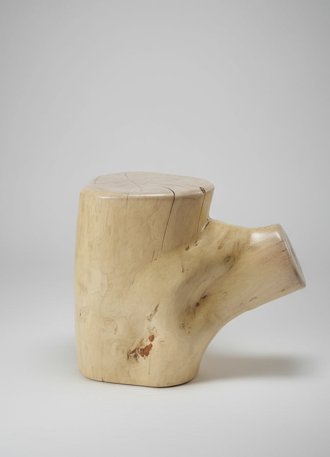 Split Branch Jacaranda End table