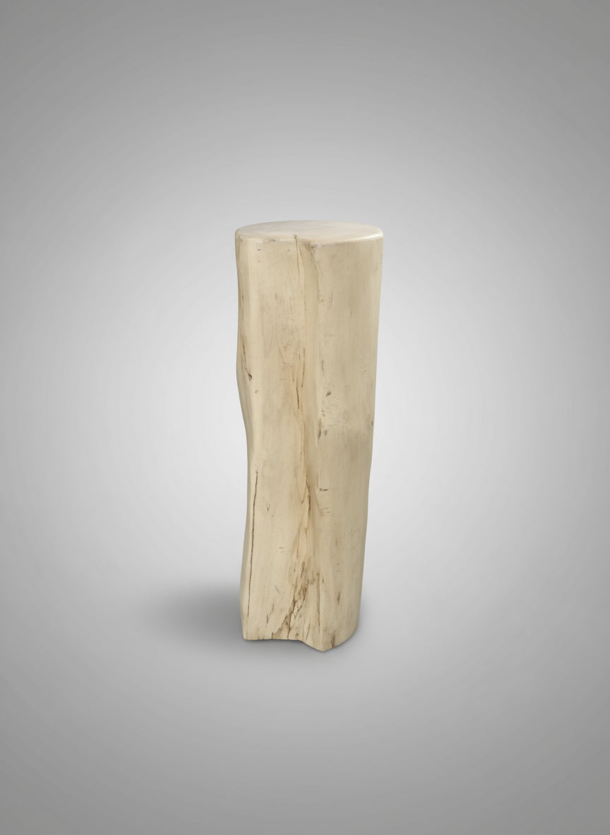 Tall Branch Jacaranda End table