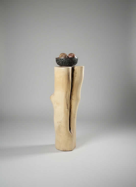 Tall Branch Jacaranda End table