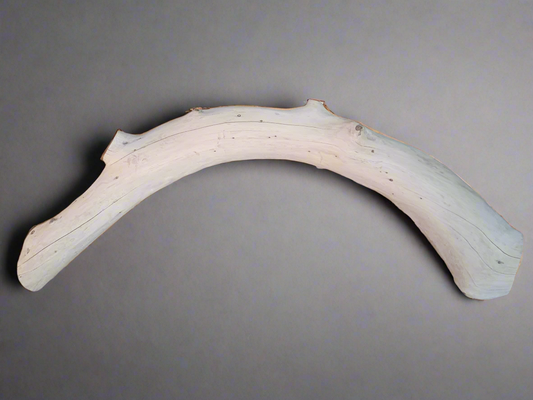 Nature’s Curve Art set