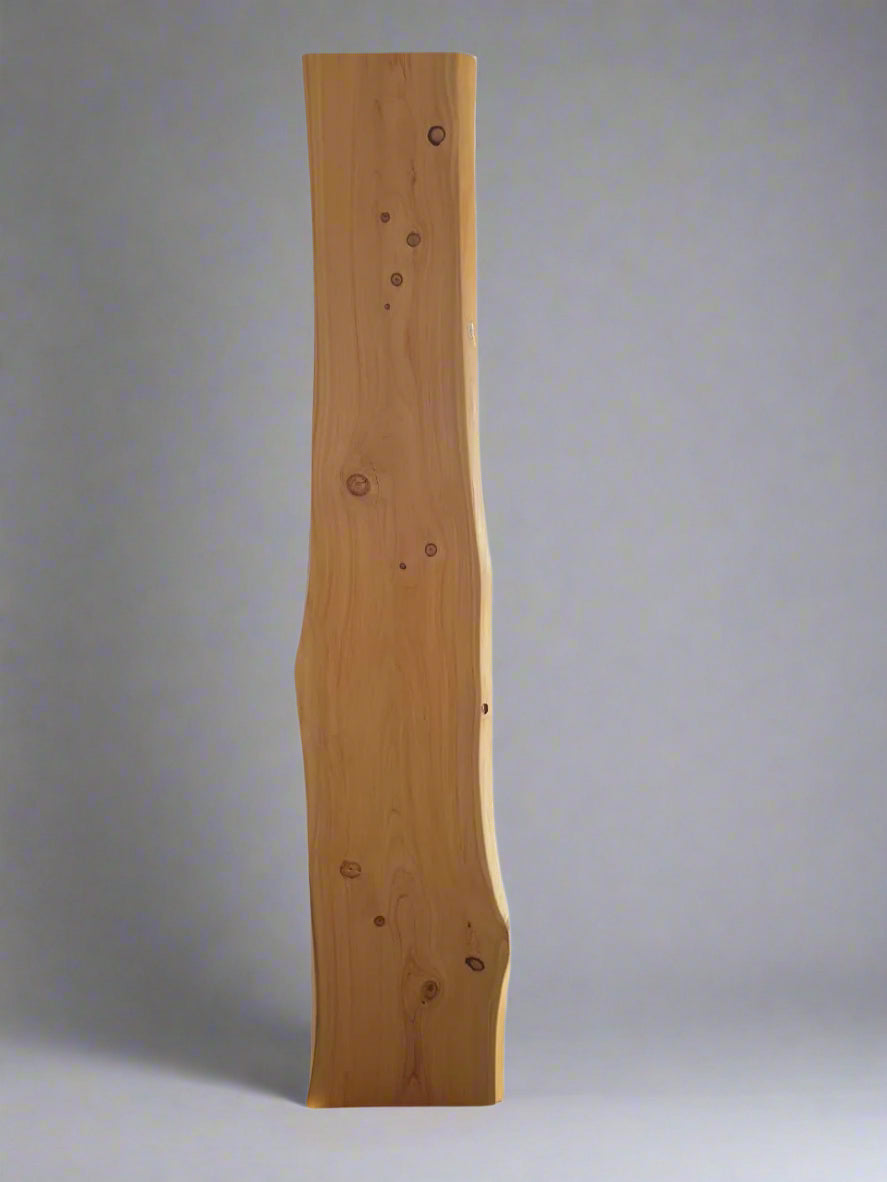 Small Live Edge Wood Slab