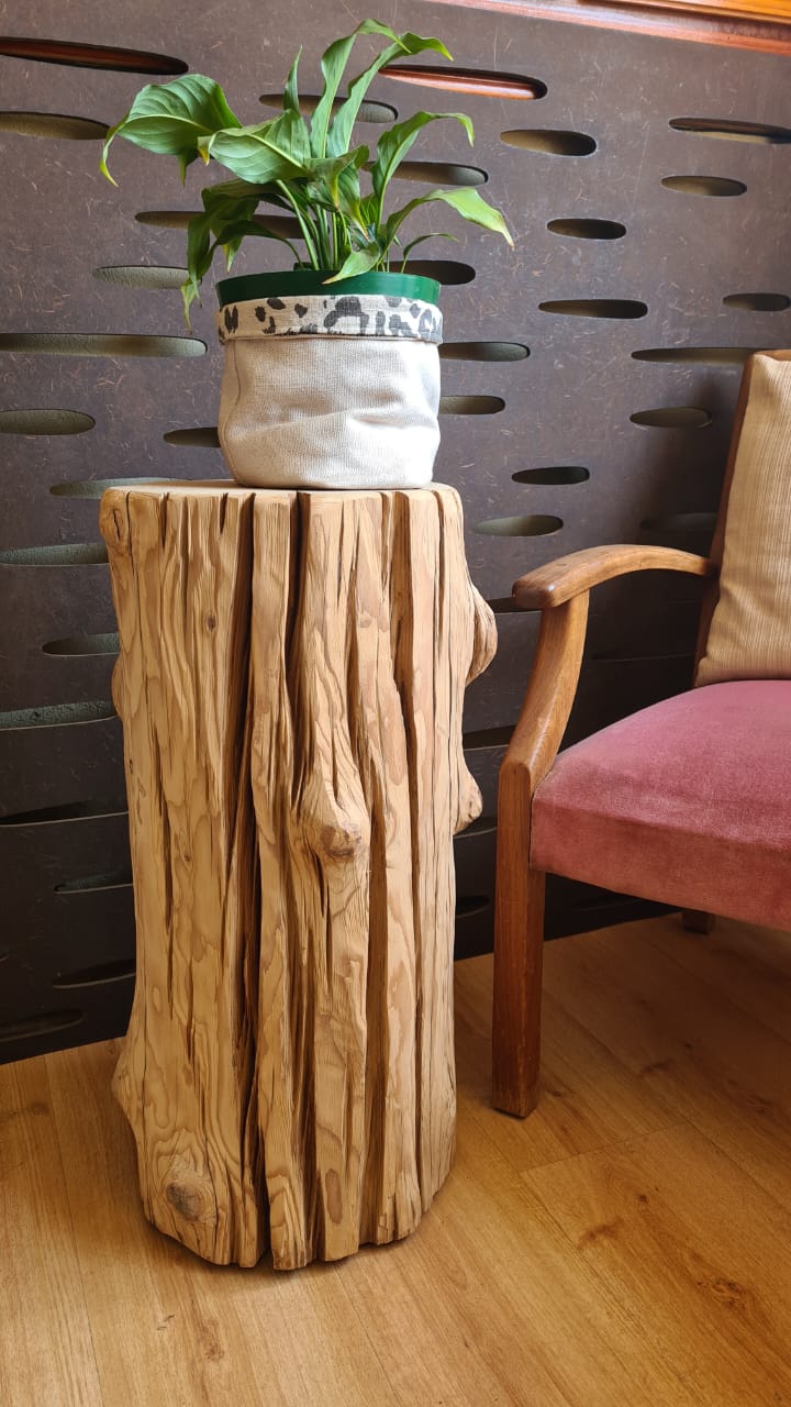 Tree Stump End Table