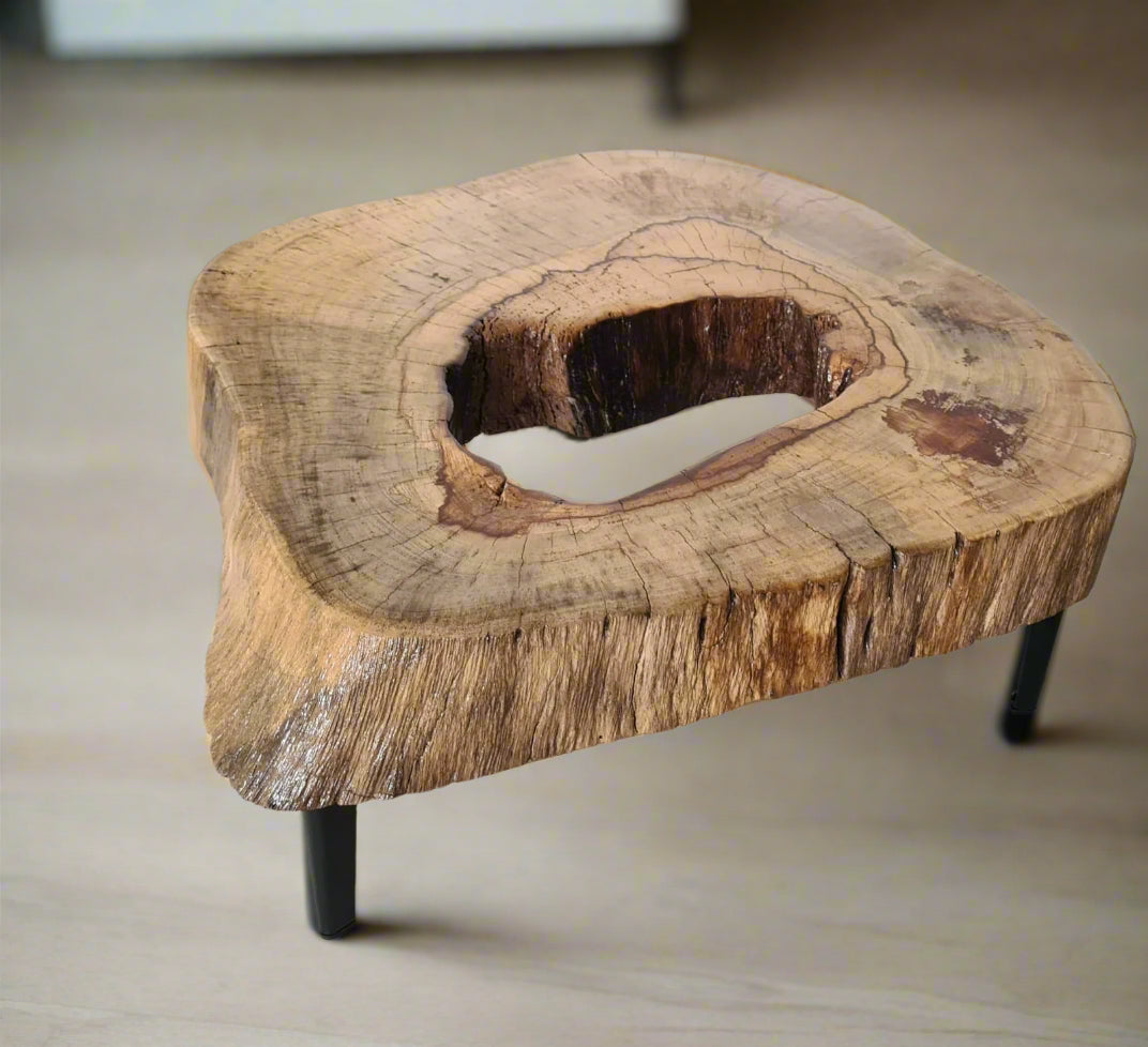 Unique Hardwood Slice Coffee Table