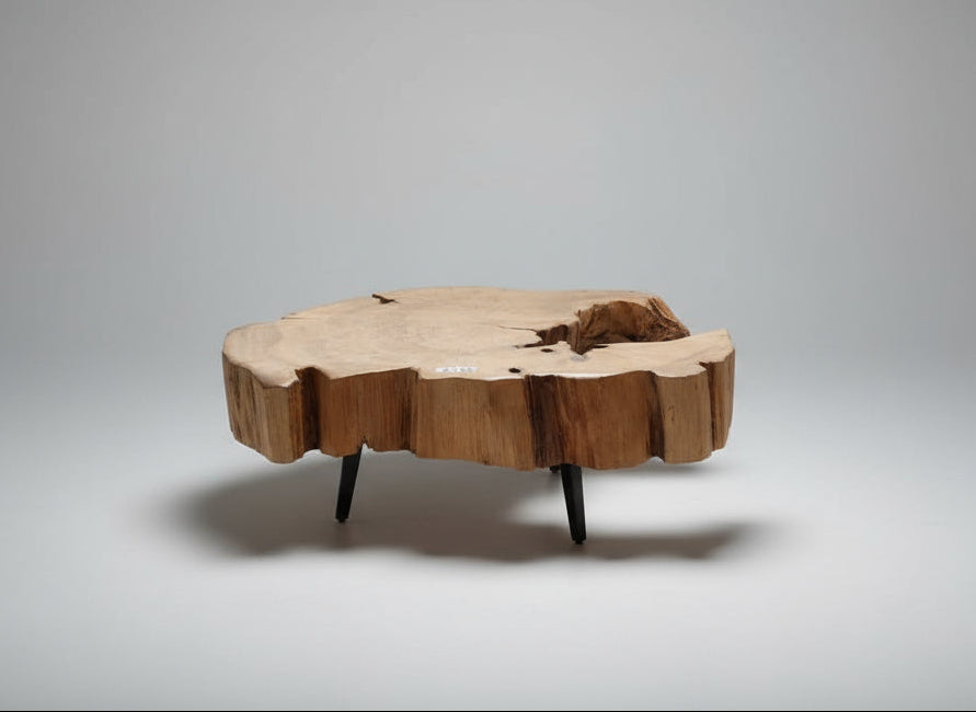 Nature's Hook Low End Table
