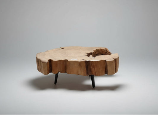 Nature's Hook Low End Table