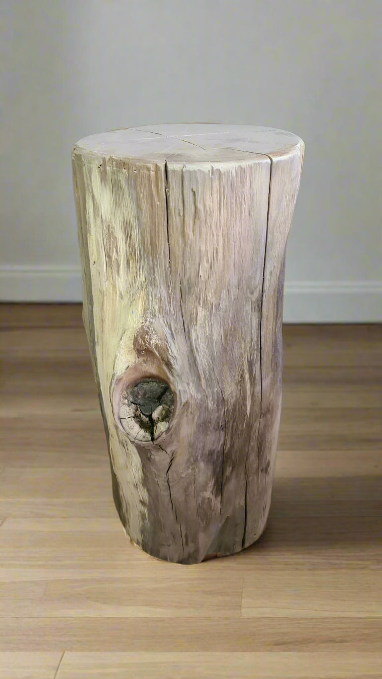 Knotted Stump Side table