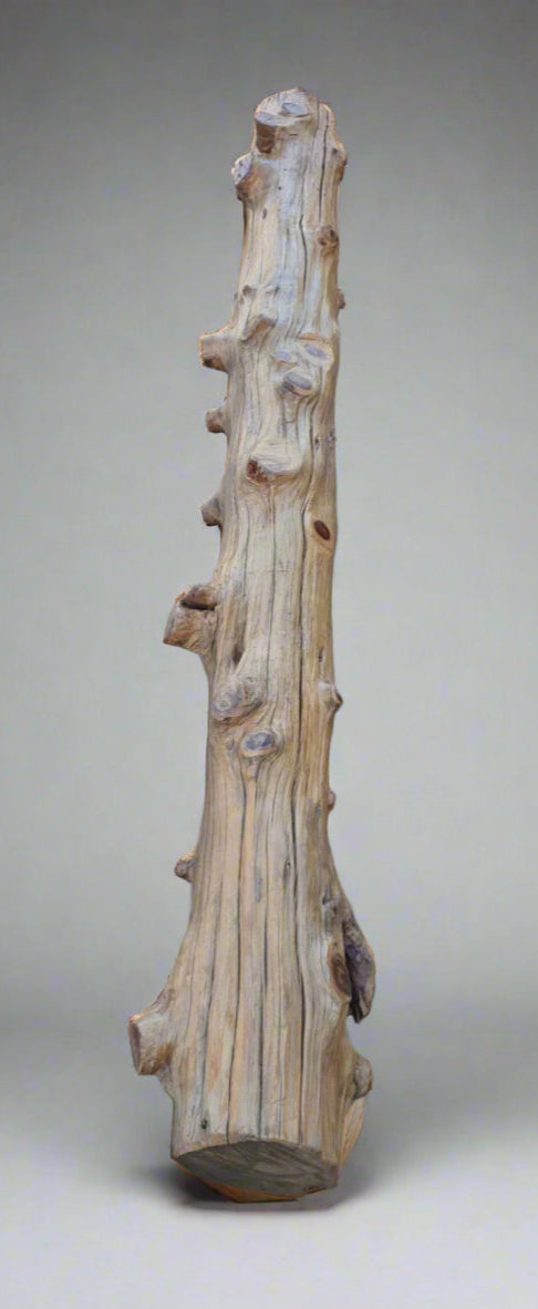 Live Edge Wood Pillar