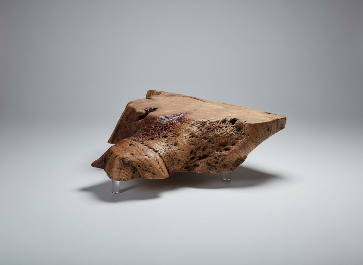 Earthmouth Low End Table - Plant holder