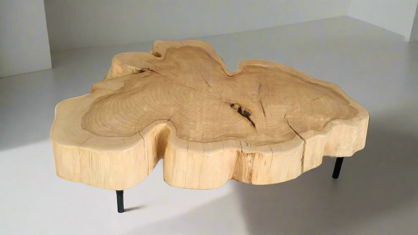 Curved Nature Coffee Table