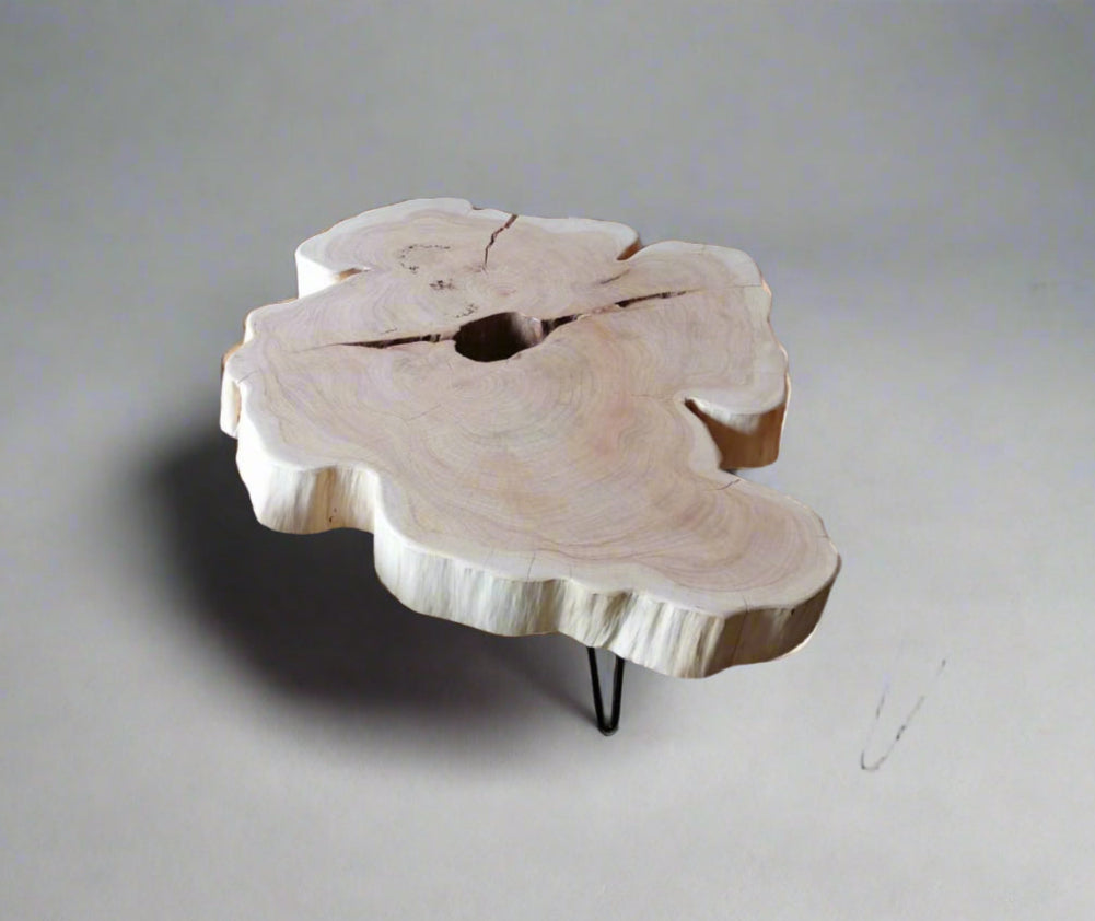 Echo Ring Coffee Table