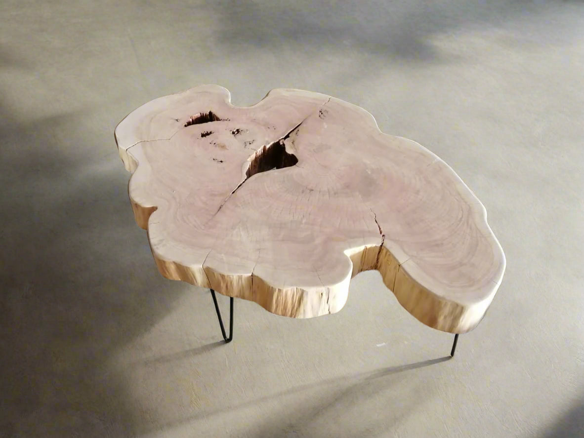 Echo Ring Coffee Table