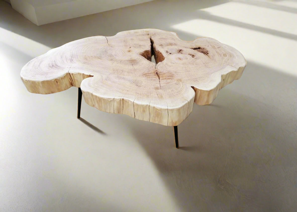 Echo Ring Coffee Table