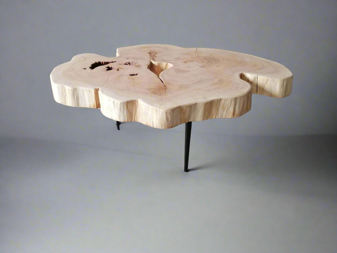Echo Ring Coffee Table