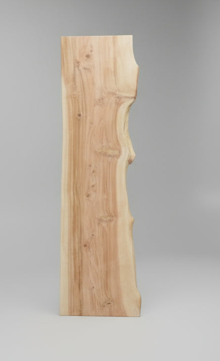 Medium Live Edge Wood Slab