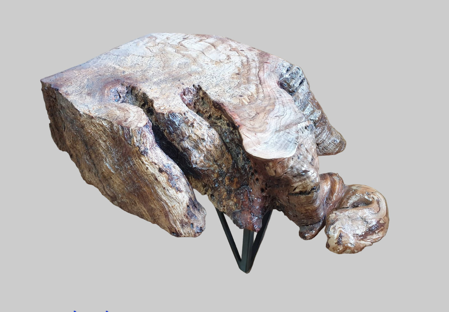 Rooted Form Low End Table - Plant holder