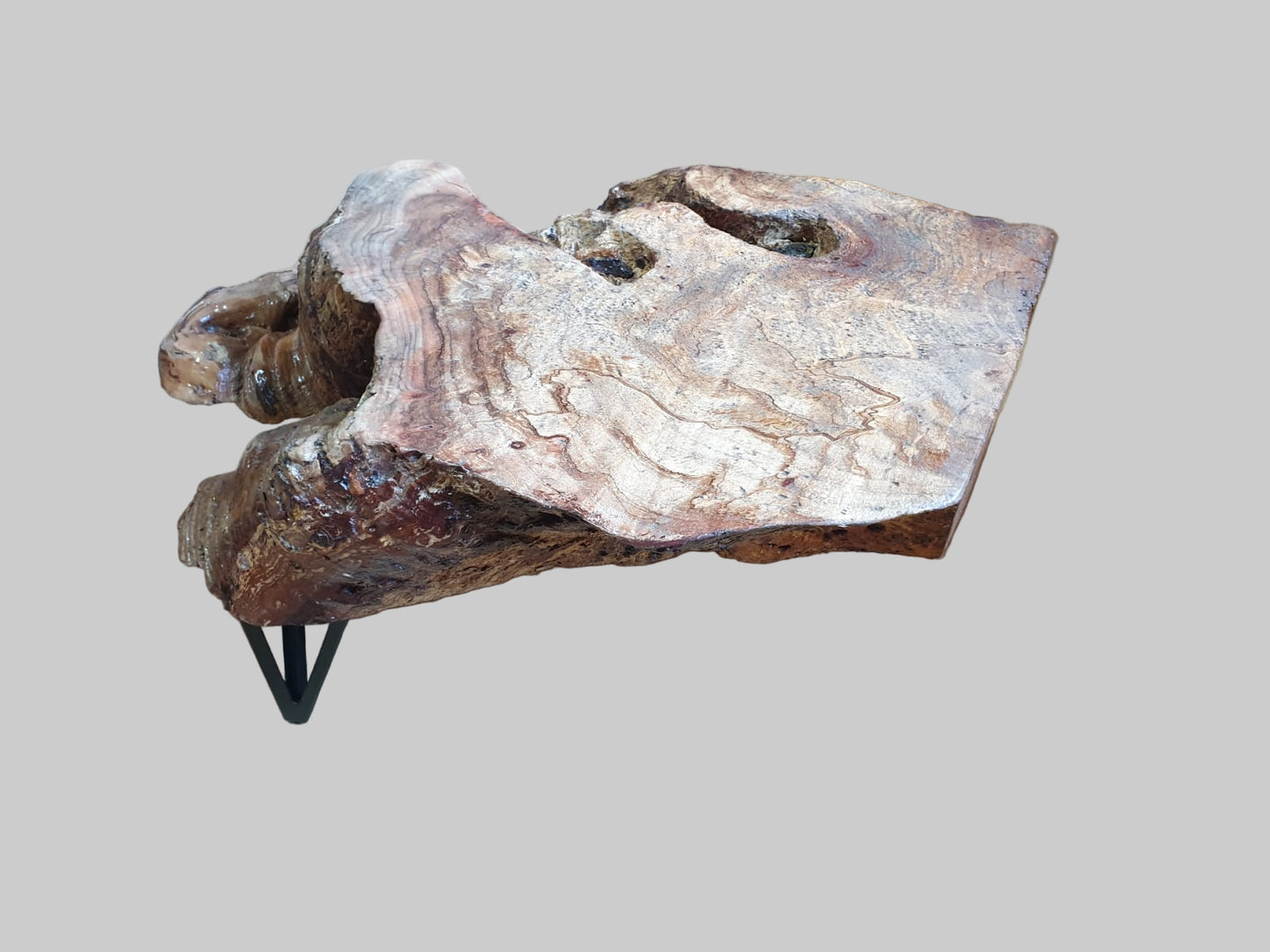 Rooted Form Low End Table - Plant holder