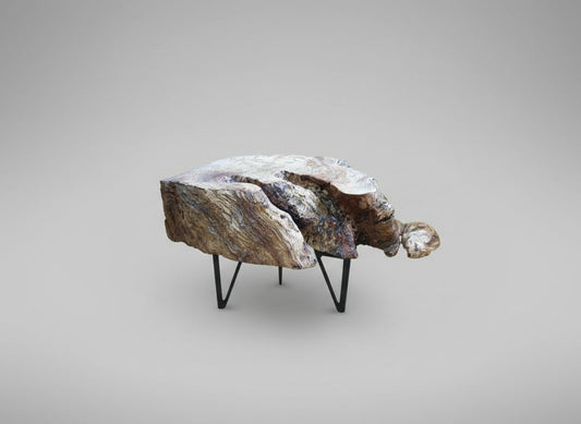 Rooted Form Low End Table - Plant holder