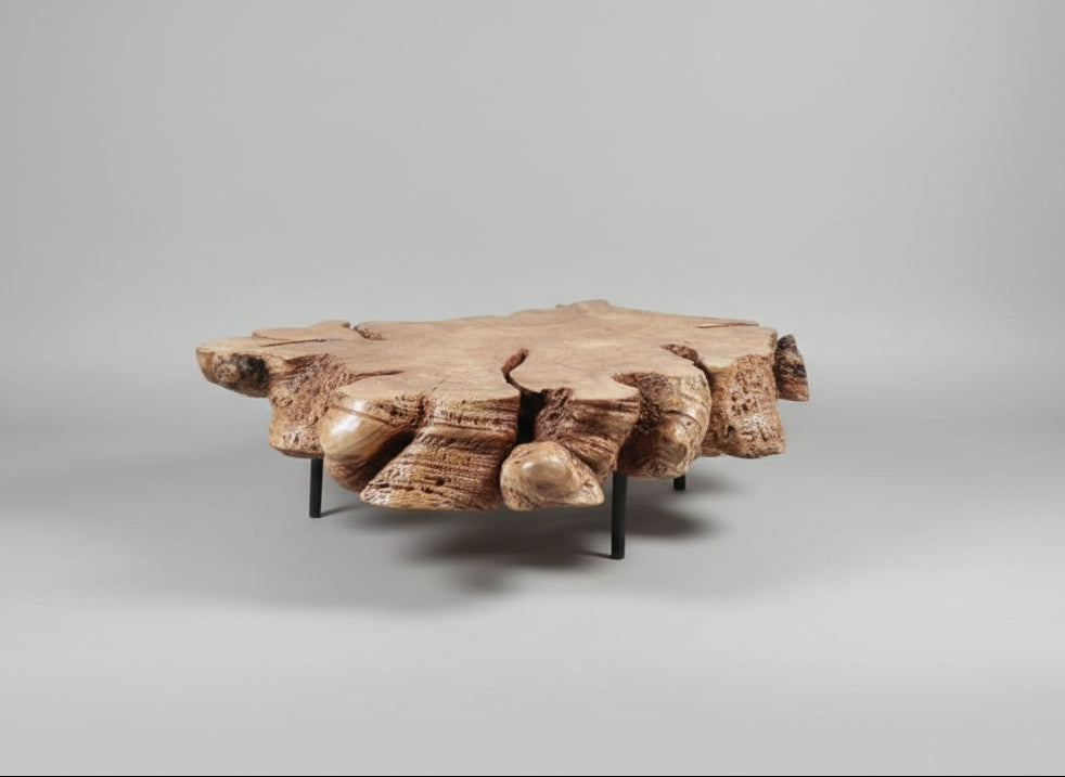 Blackwood Sculpted Edge Coffee Table