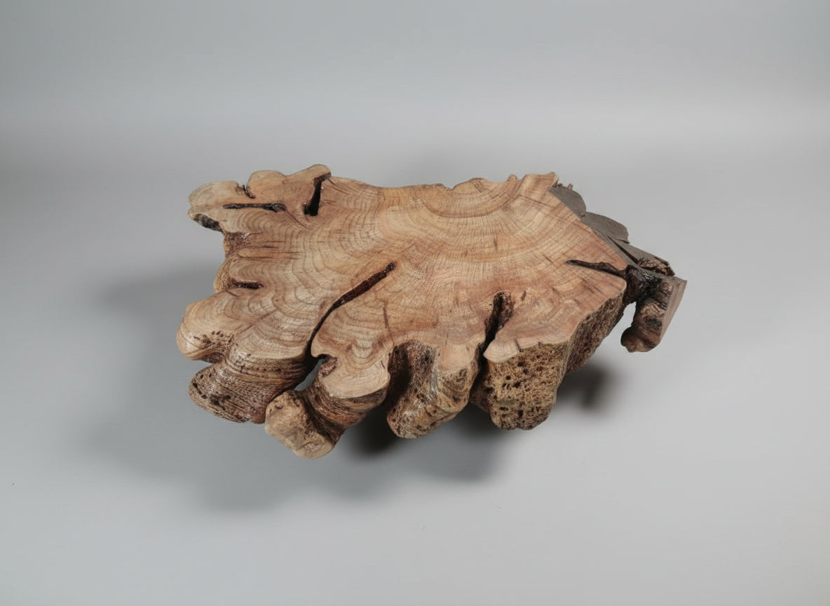 Blackwood Sculpted Edge Coffee Table