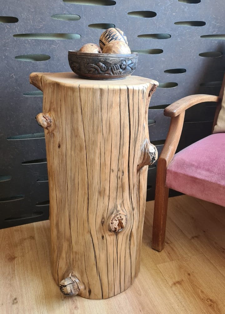 Tree Stump End Table