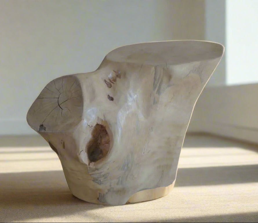 Curve & Grain Jacaranda Wood Coffee Table