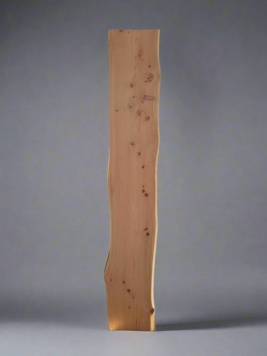 Small Live Edge Wood Slab