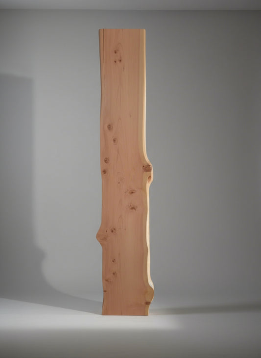 Small Live Edge Wood Slab