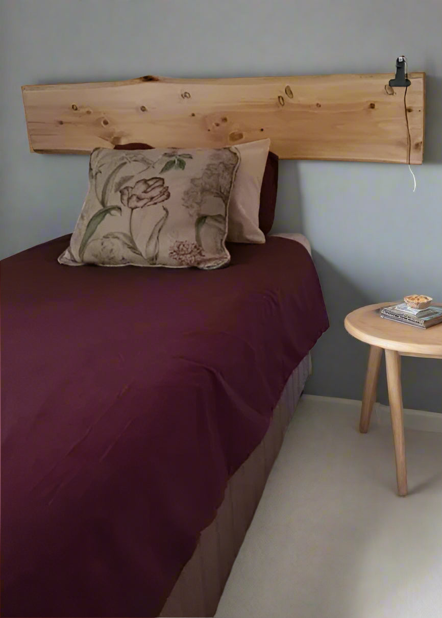 Small Live Edge Wood Slab