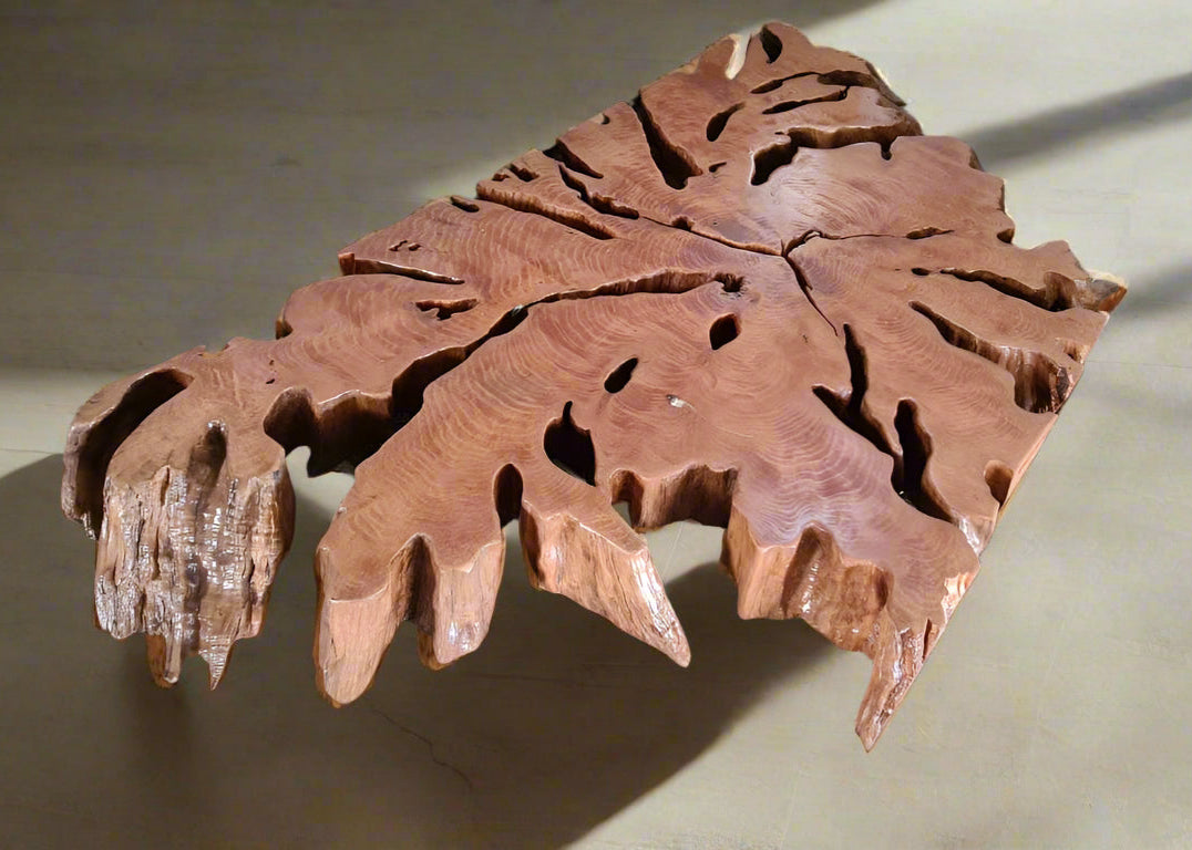 Unique Slice Root Coffee table