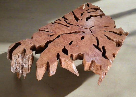 Unique Slice Root Coffee table
