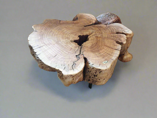 Nature's Bend Black wood coffee table