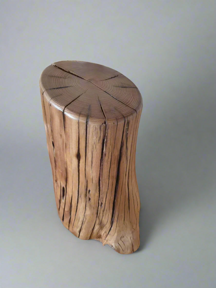 Knot & Bend Stump Side table