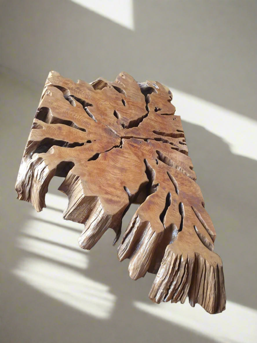 Unique Slice Root Coffee table